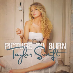 Taylor Swift — Picture to Burn cover artwork