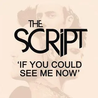 The Script — If You Could See Me Now cover artwork