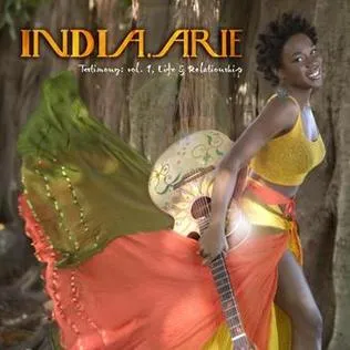 India.Arie featuring Akon — I Am Not My Hair cover artwork