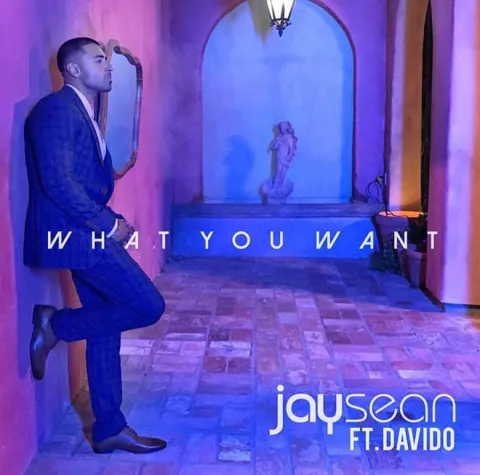 Jay Sean featuring DaVido — What You Want cover artwork
