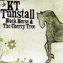 KT Tunstall — Black Horse and the Cherry Tree cover artwork