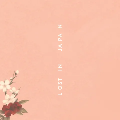 Shawn Mendes Lost In Japan cover artwork