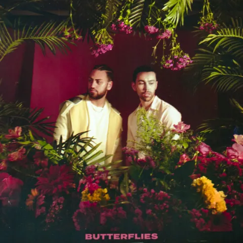 MAX & Ali Gatie — Butterflies cover artwork