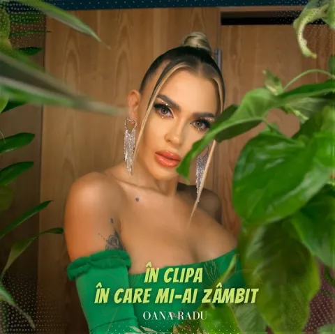 Oana Radu — În Clipa În Care Mi-ai Zâmbit cover artwork