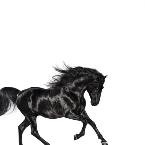 Lil Nas X Old Town Road cover artwork