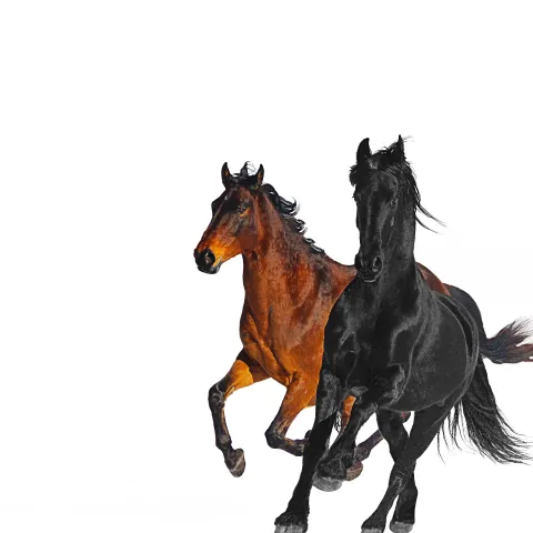 Lil Nas X featuring Billy Ray Cyrus – Old Town Road (Remix) song cover artwork