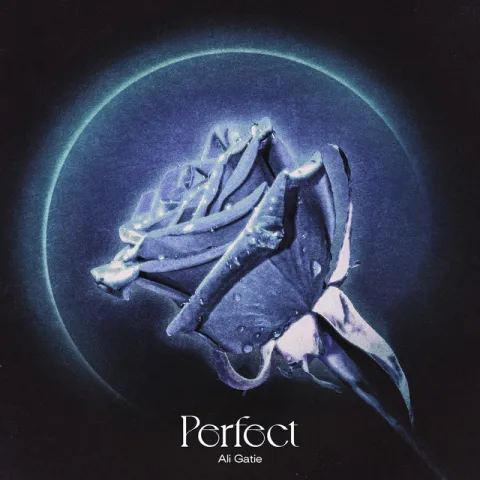 Ali Gatie — Perfect cover artwork