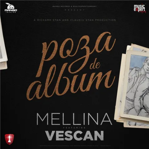 Mellina featuring Vescan — Poza De Album cover artwork
