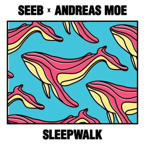 Seeb & Andreas Moe — Sleepwalk cover artwork