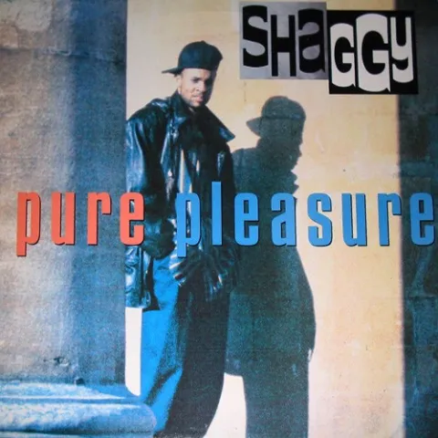Shaggy Pure Pleasure cover artwork