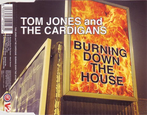 Tom Jones & The Cardigans — Burning Down the House cover artwork