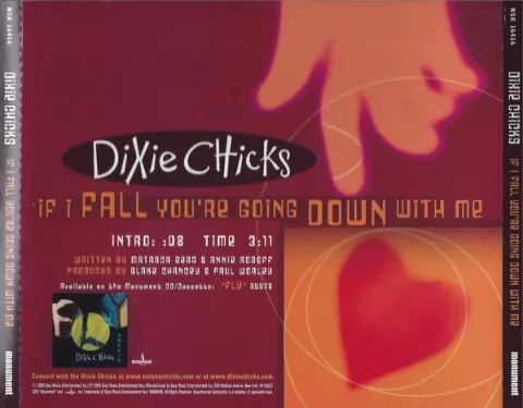 The Chicks — If I Fall You&#039;re Going Down with Me cover artwork