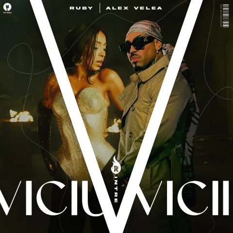 Ruby featuring Alex Velea — Viciu Între Vicii cover artwork