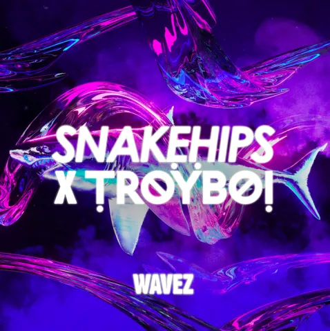 Snakehips & TroyBoi — Wavez cover artwork