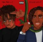 YNW Melly ft. featuring Juice WRLD Suicidal cover artwork