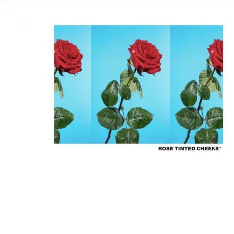 Tyler, The Creator — Rose Tinted Cheeks cover artwork