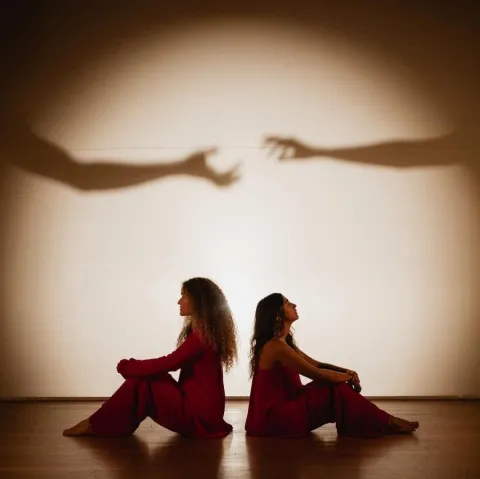 ANAVITÓRIA — Selva cover artwork