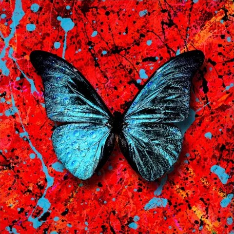 Ed Sheeran — Stop The Rain cover artwork
