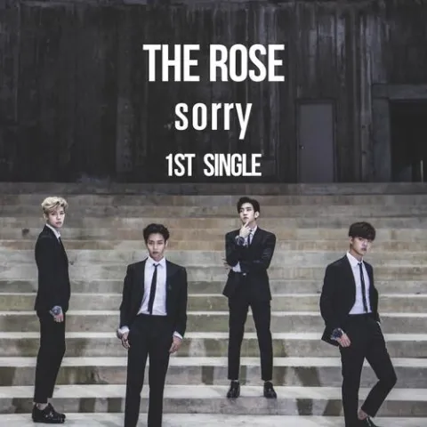 The Rose — Sorry cover artwork