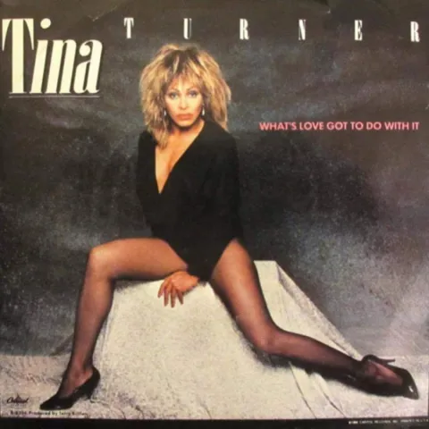 Tina Turner — What&#039;s Love Got To Do With It? cover artwork