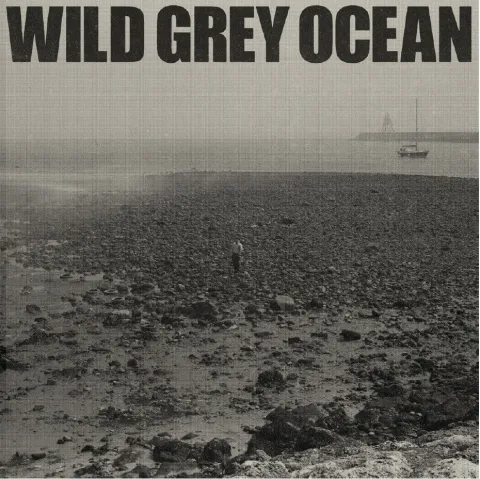 Sam Fender Wild Grey Ocean cover artwork
