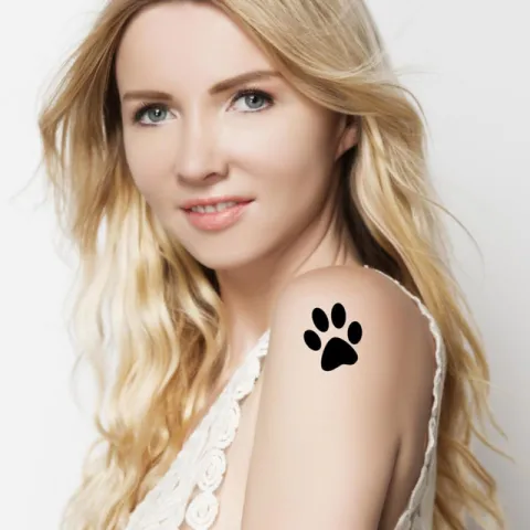 Kaia Tamm — Wo sind die Katzen? cover artwork