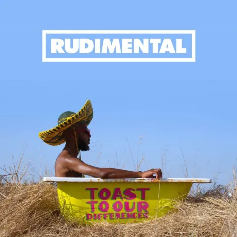 Rudimental featuring Shungudzo, Protoje, & Hak Baker — Toast to Our Differences cover artwork