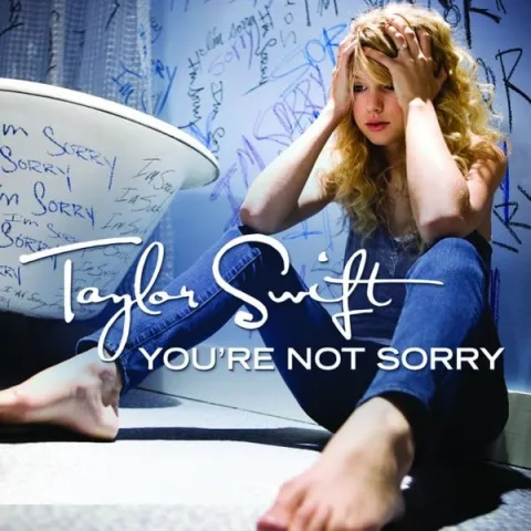 Taylor Swift — You&#039;re Not Sorry cover artwork