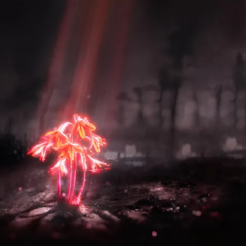Enter Shikari — (pls) set me on fire cover artwork