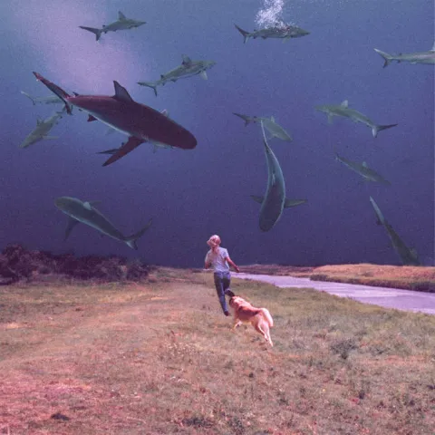 Bully featuring Soccer Mommy — Lose You cover artwork