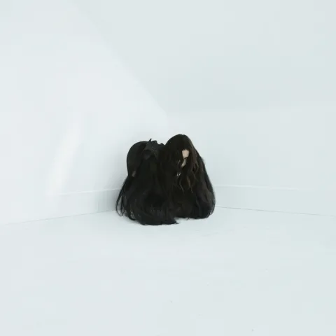 Chelsea Wolfe — Twin Fawn cover artwork
