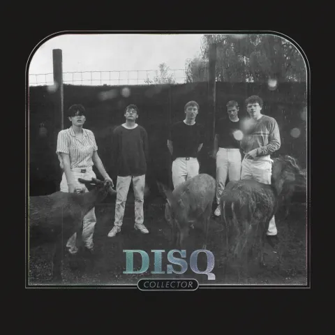 Disq — Daily Routine cover artwork