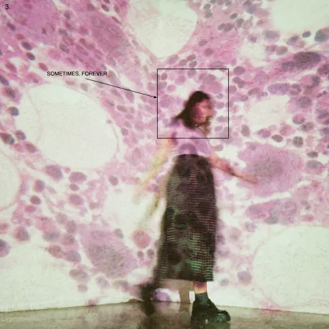 Soccer Mommy — Shotgun cover artwork