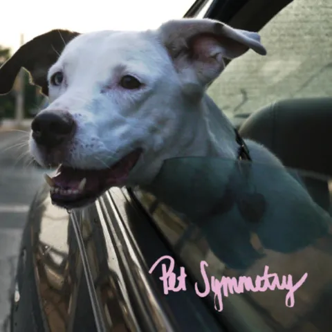 Pet Symmetry — Please Don&#039;t Tell My Father That I Used His 1996 Honda Accord To Destroy The Town of Willow Grove, Pennsylvania in 2002 cover artwork