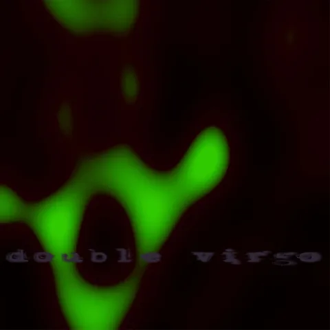 Double Virgo — No Sweat cover artwork