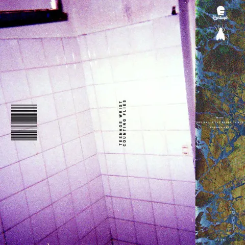 Teenage Wrist — Mary cover artwork