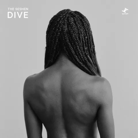 The Seshen — Dive cover artwork