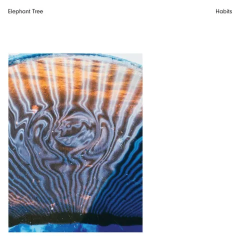 Elephant Tree — Sails cover artwork