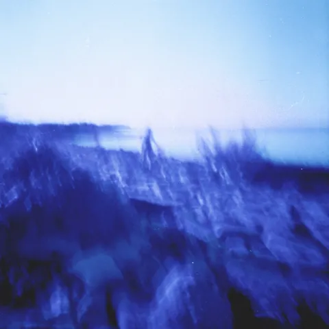 Meishi Smile featuring Calendula — Pond cover artwork