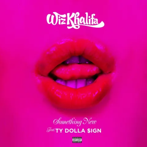 Wiz Khalifa featuring Ty Dolla $ign — Something New cover artwork