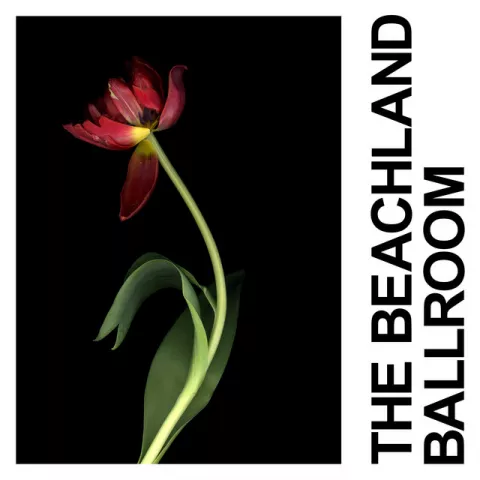 IDLES — The Beachland Ballroom cover artwork