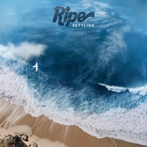 Ripe — Settling cover artwork