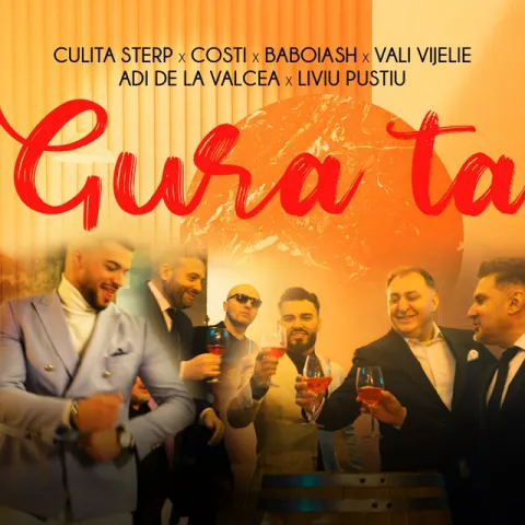 Jador, Culita Sterp, Costi, Baboiash, Vali Vijelie, Adi de la Valcea, & Liviu Pustiu — Gura Ta cover artwork