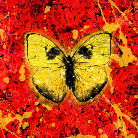 Ed Sheeran — Shivers cover artwork