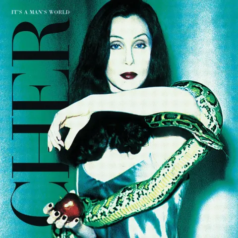 Cher It&#039;s a Man&#039;s World cover artwork