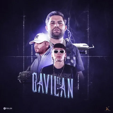 Luis R Conriquez, Peso Pluma, & Tony Aguirre — El Gavilan cover artwork