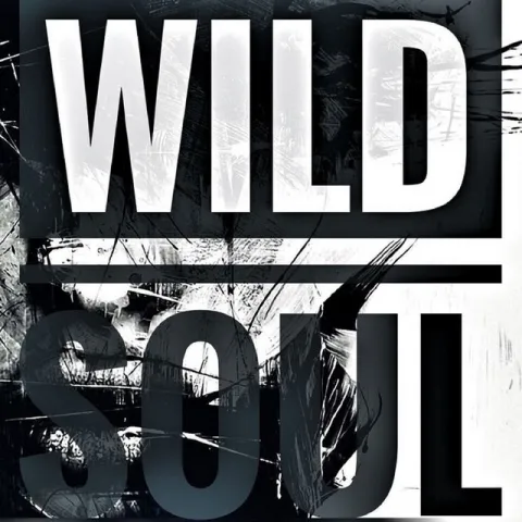 CVBE — Wild Soul cover artwork