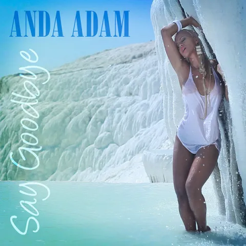 Anda Adam Say Goodbye cover artwork