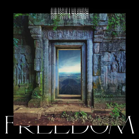 Sub Focus & Wilkinson featuring Empara Mi — Freedom cover artwork