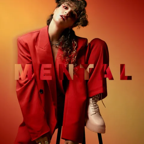 SS.HH.A.N.A — mental cover artwork